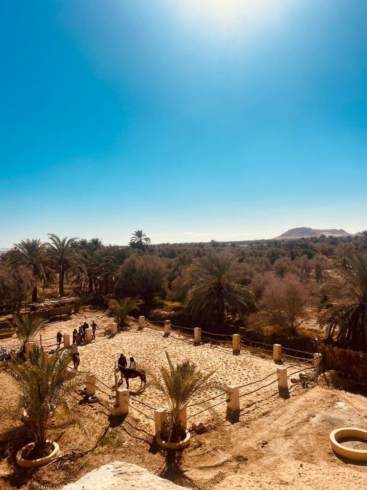 Aghurmi Siwa Ecolodge & Salt Cave Siwa Oasis Exterior photo